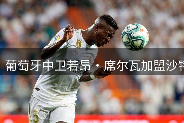 葡萄牙中卫若昂·席尔瓦加盟沙特次级联赛球队